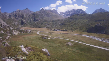 Miniature