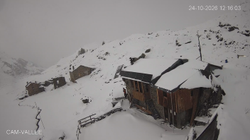 Miniature