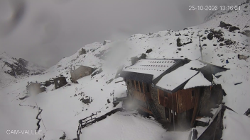 Miniature